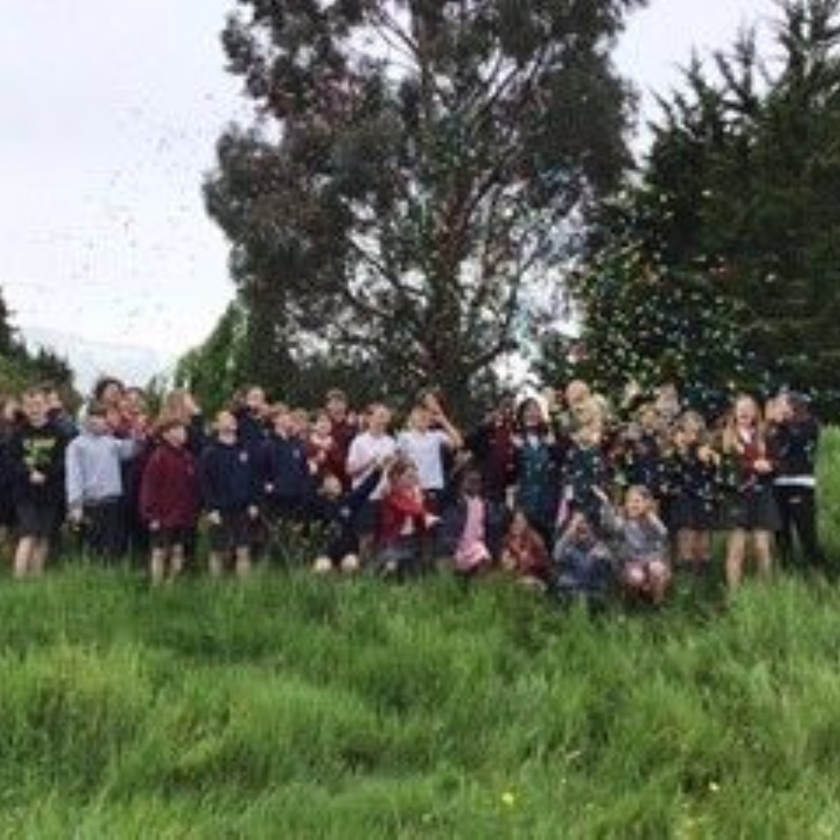 Corsham Primary School - Year 6 celebrate the end of SATs!